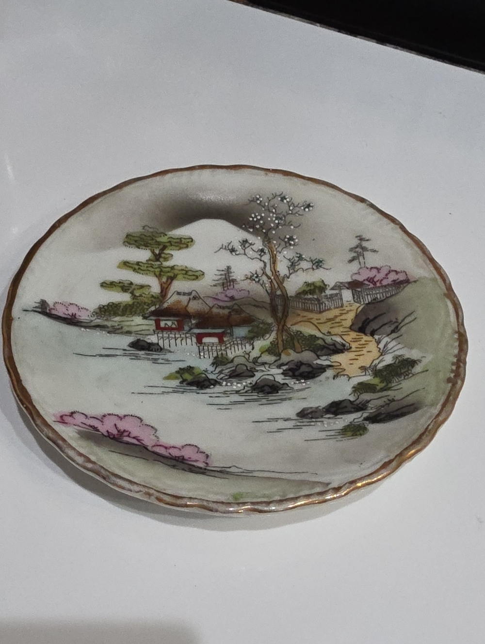 Hand-Painted Ceramic Decorative Plate in White, Pink and Green